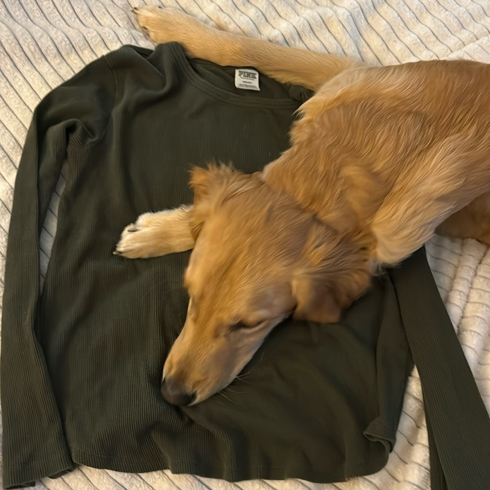 Pink shirt for sale, not the dog😂